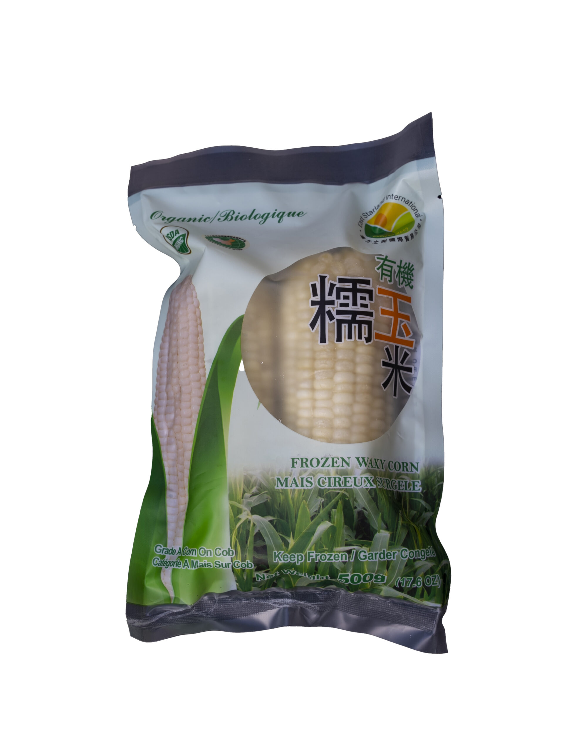 DSC00002-2 DSC00002-2