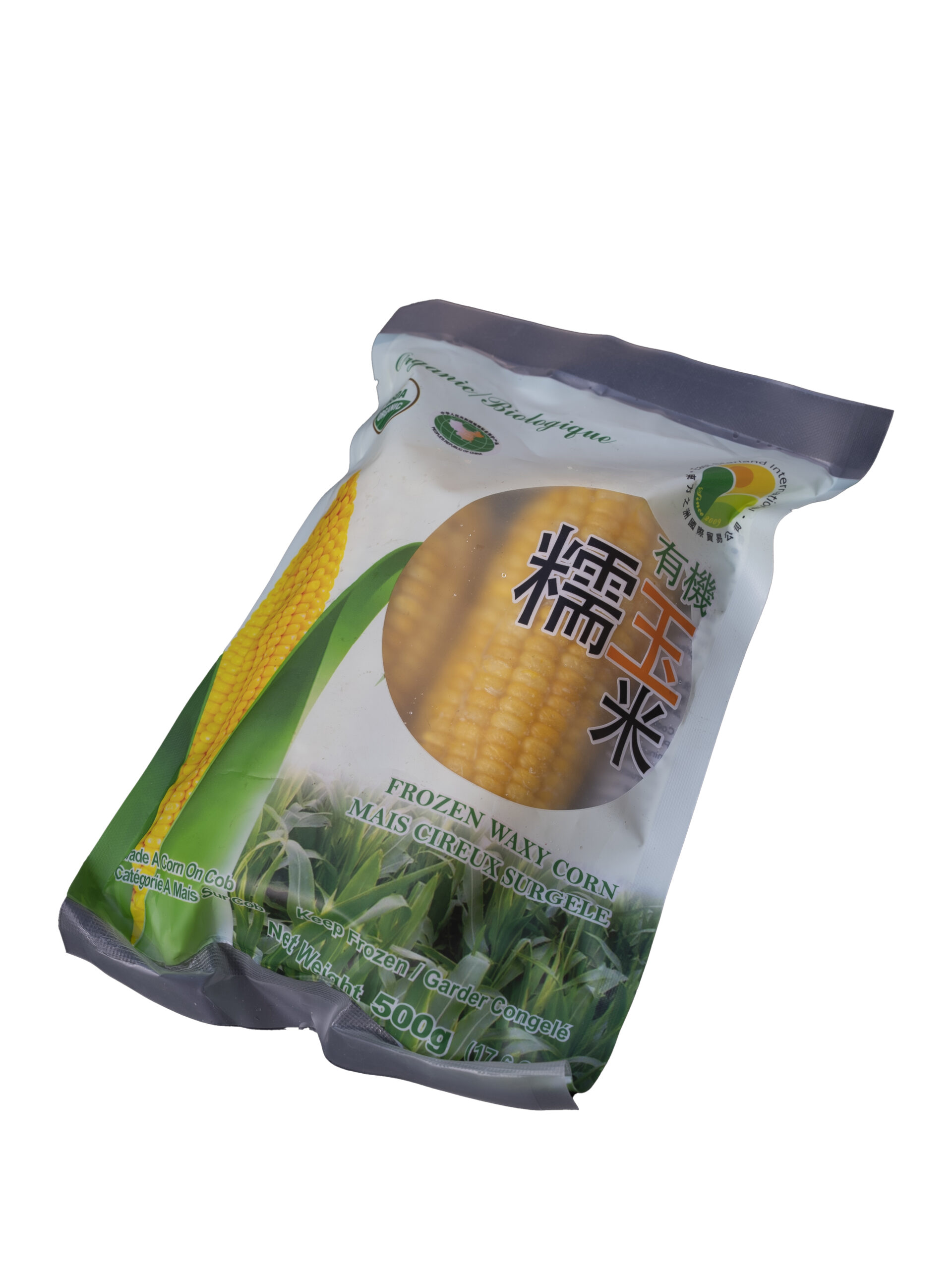 DSC00008-2 DSC00008-2