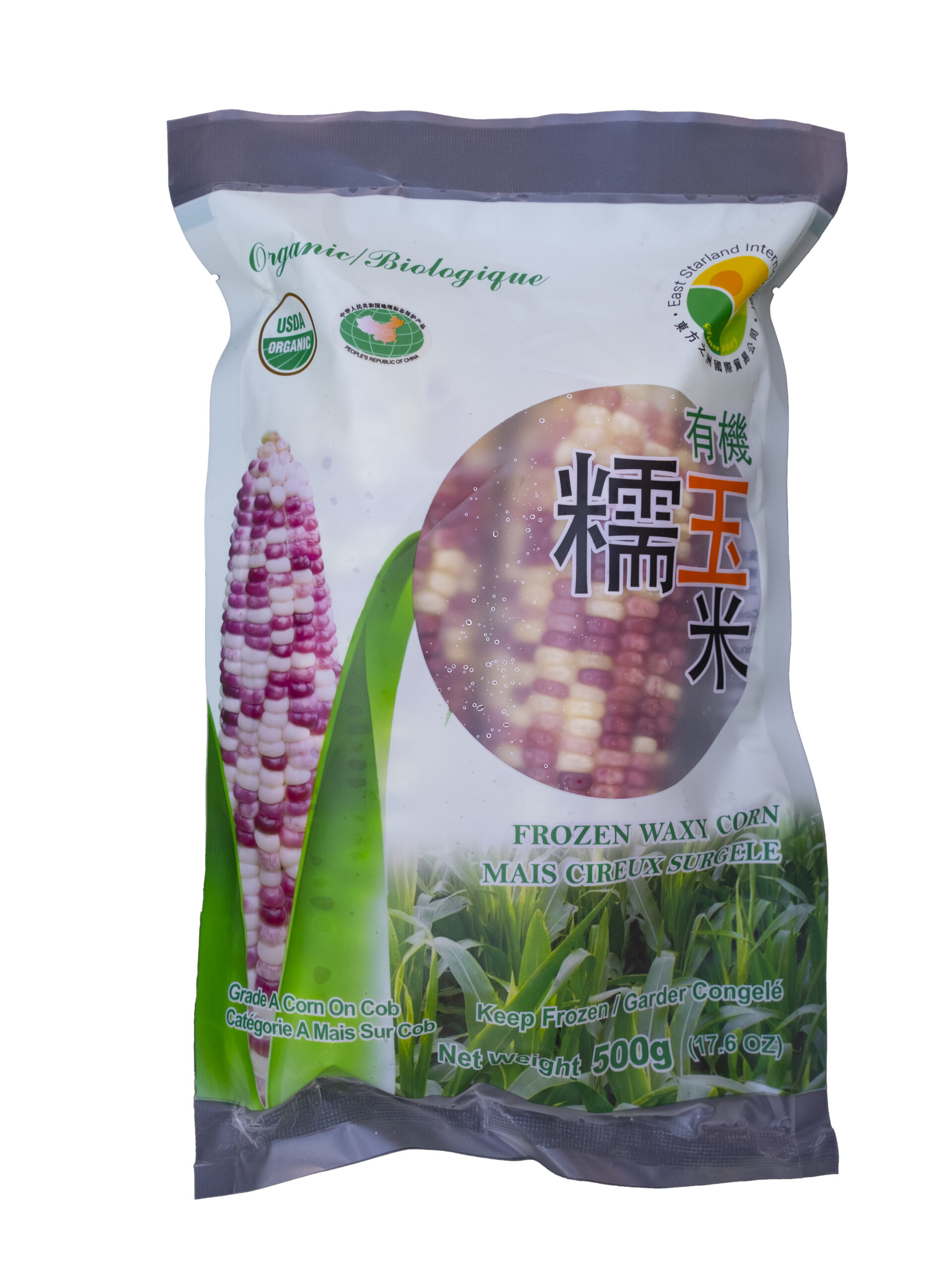 DSC00038-2 DSC00038-2